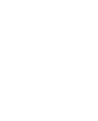 Logo Magnólia 10 Anos