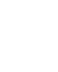 Logo Magnólia 10 Anos